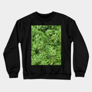 Green Moss Nature Forest Crewneck Sweatshirt